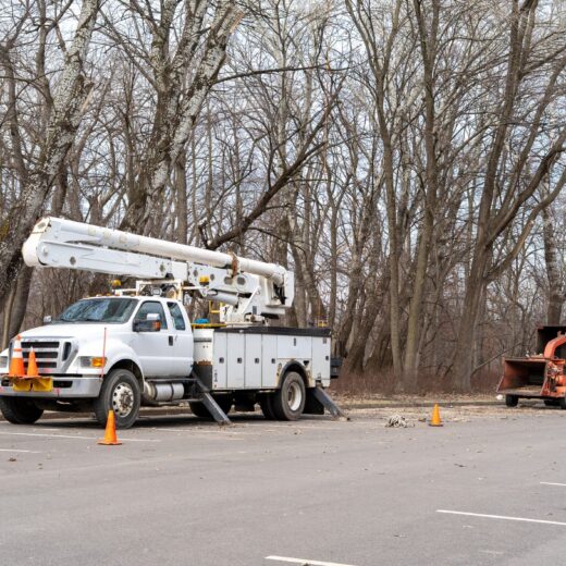 Professional bucket truck and wood chipper machine for tree maintenance in a public park